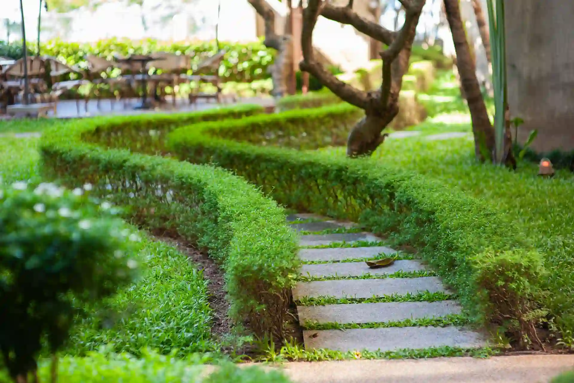 Jardin Verdana Paysage