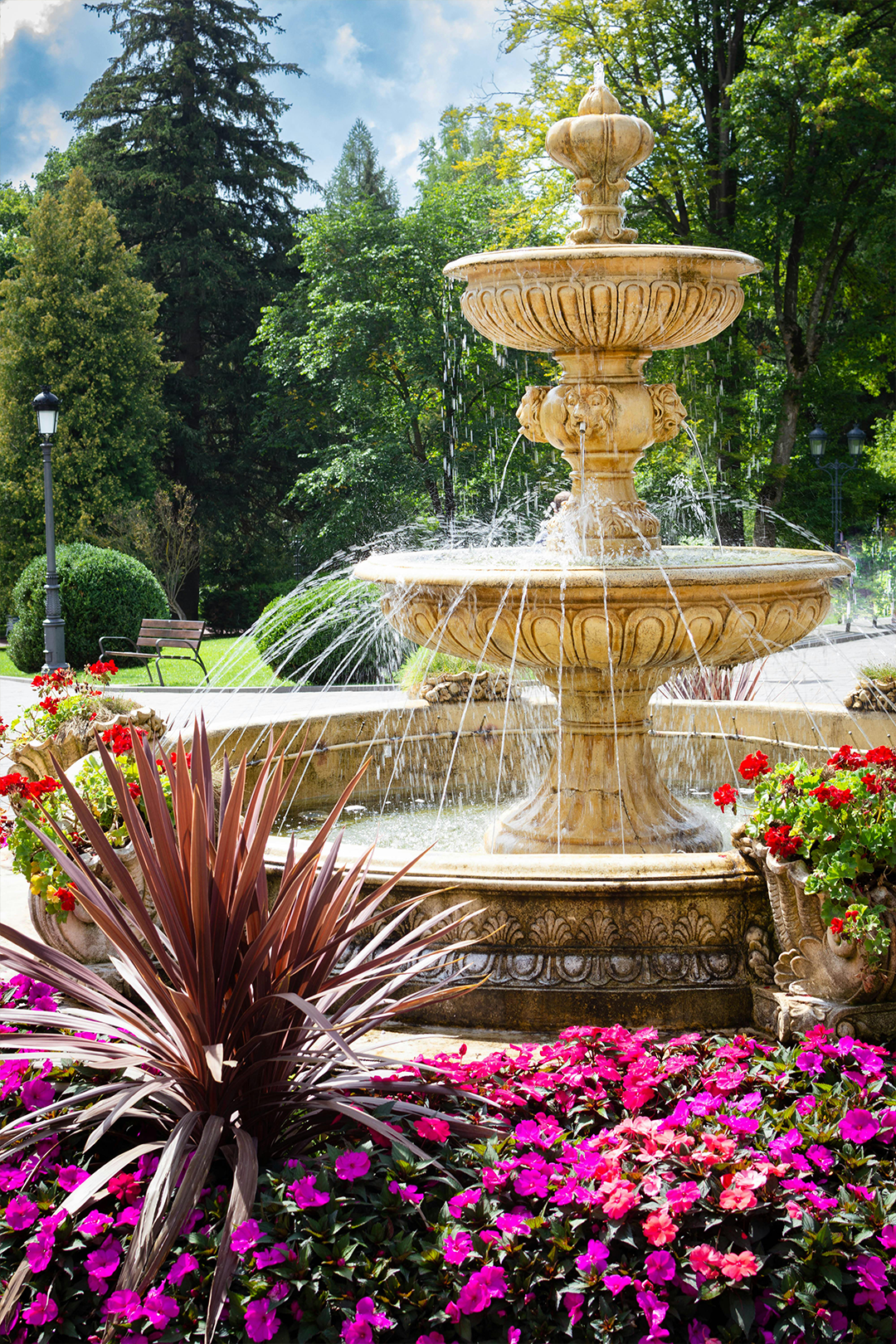 Bassins & points d'eau